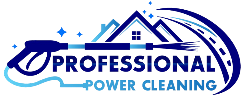 Professional-Pressure-Cleaning-4__1_-removebg-preview.png